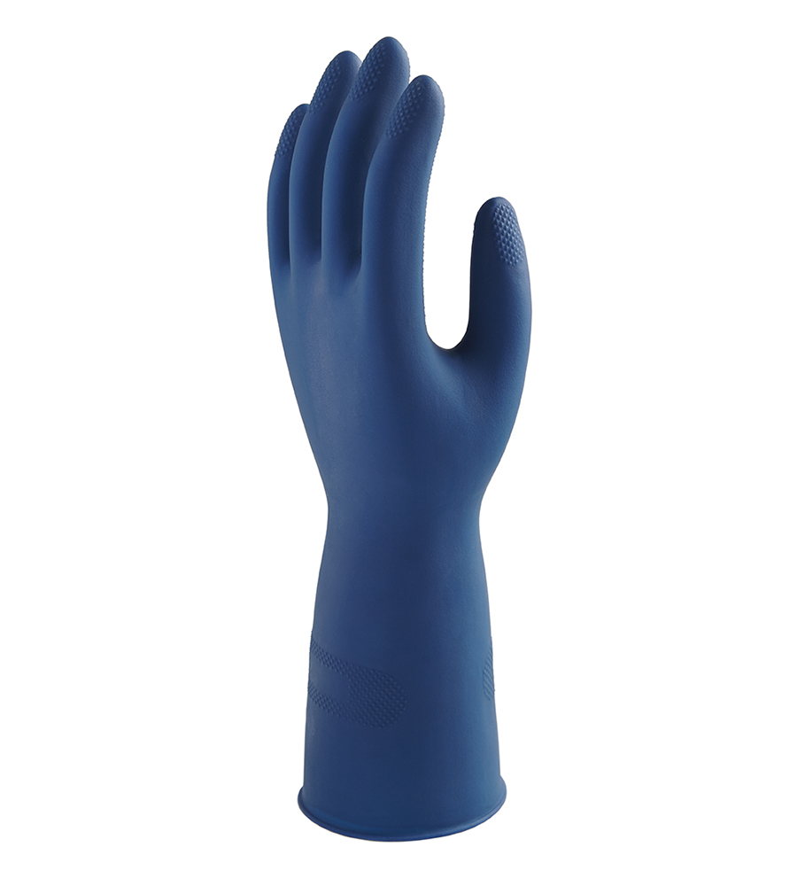 Eagle-Blue-1