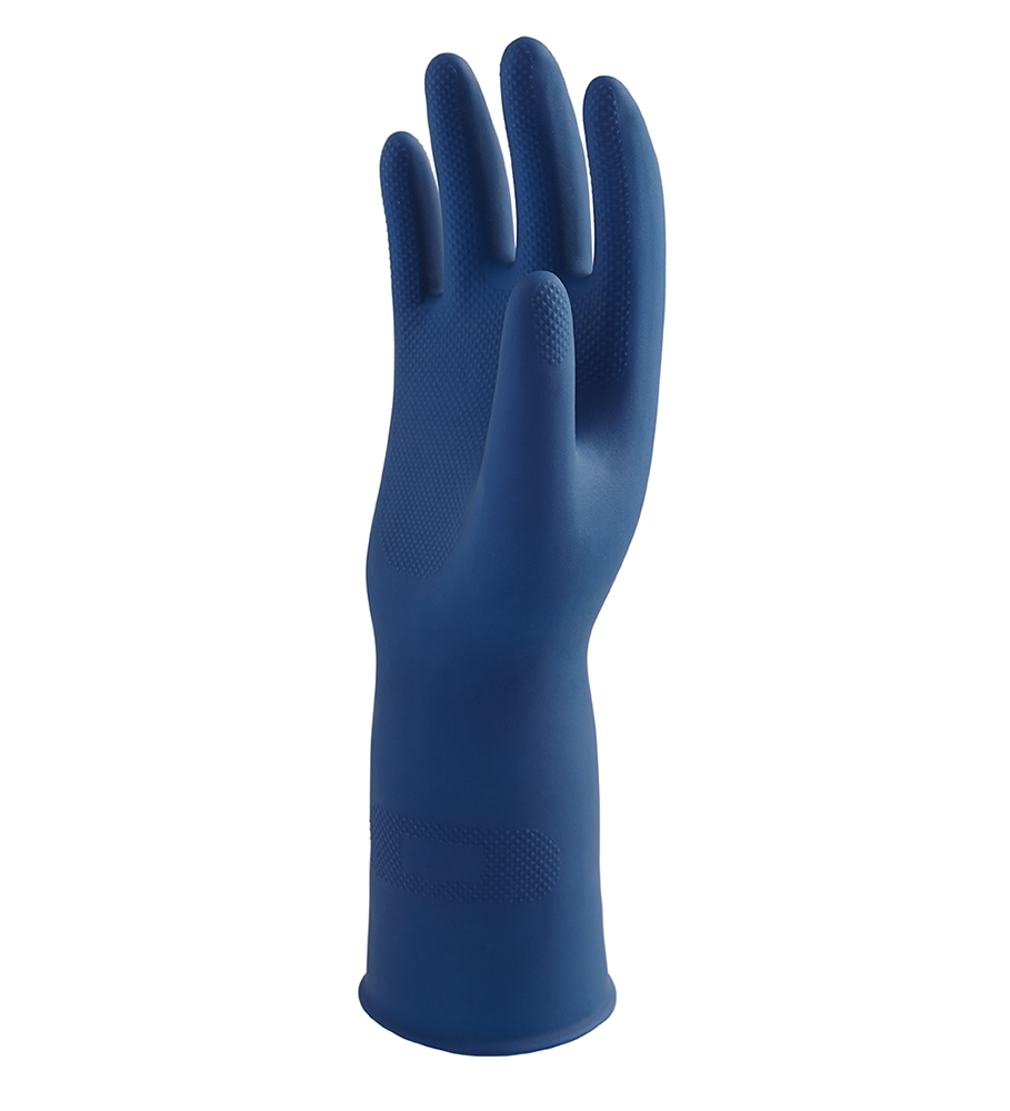 Eagle-Blue-2