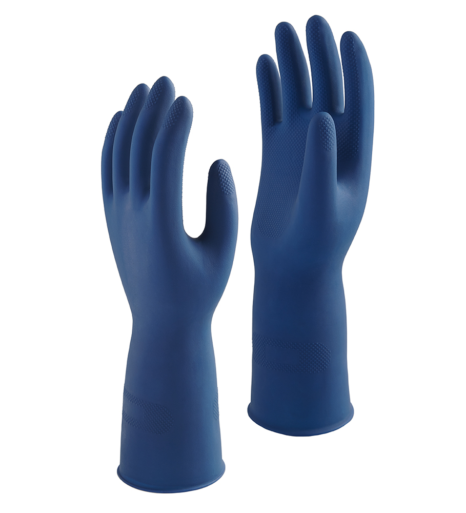 Eagle-Blue-3